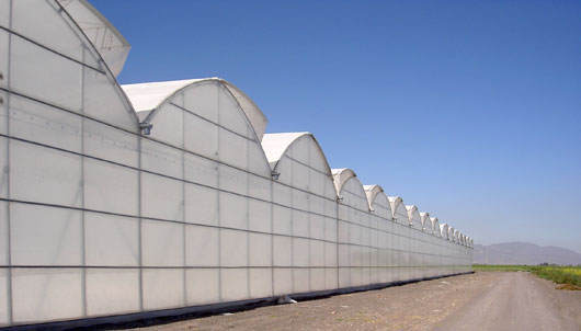 MULTICAPILLA DE TECHO GOTICO | ININSA, Invernaderos y Equipamientos de