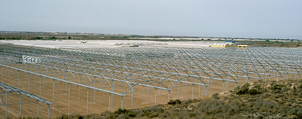 Works during turnkey greenhouse project