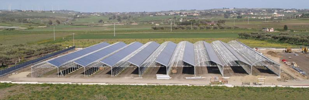 General view of the ININSA P-9FV Photovoltaic greenhouse model