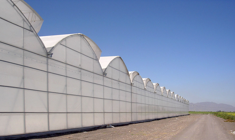 P-9’60 Gothic roof multi-span greenhouse