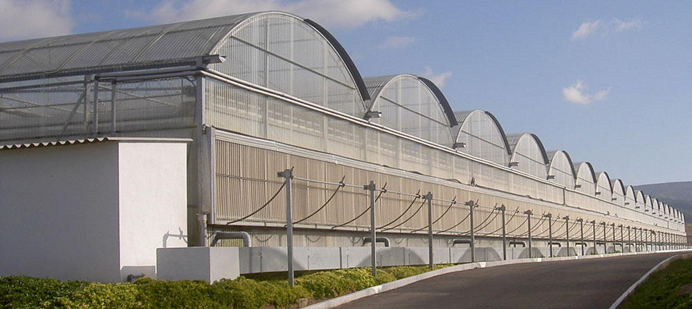 Greenhouses for ornamental plant growing