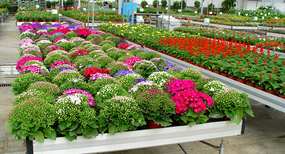 Exhibition benches with season flowers