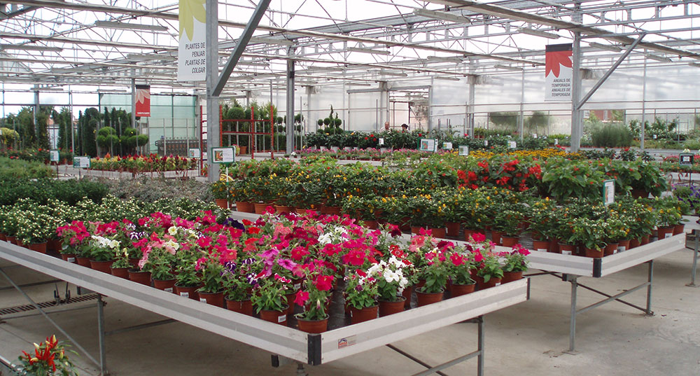 Exhibition benches inside a garden center