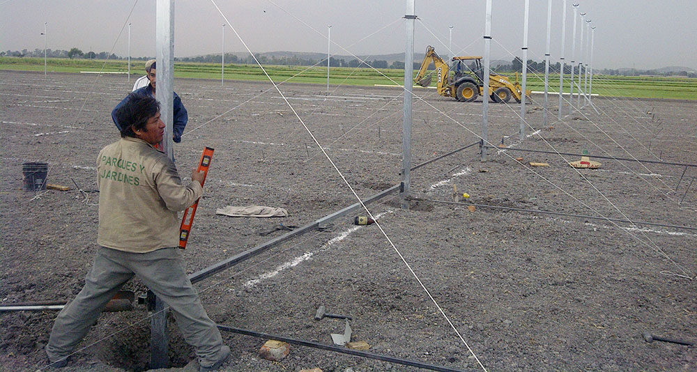 Works during turnkey greenhouse project