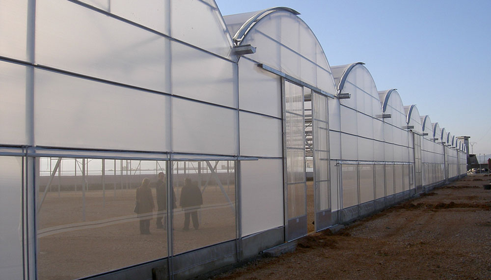 Curved roof multi-span greenhouse