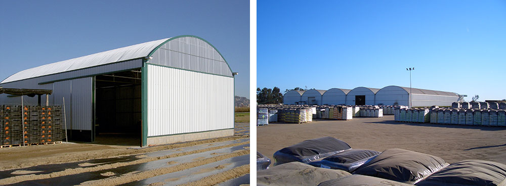 Exterior view of warehouse with curved roof model structures