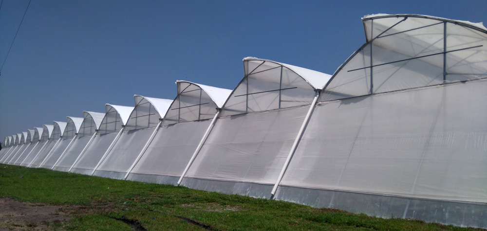 Outside view of the Tropical Gothic roof G-9’60-KS