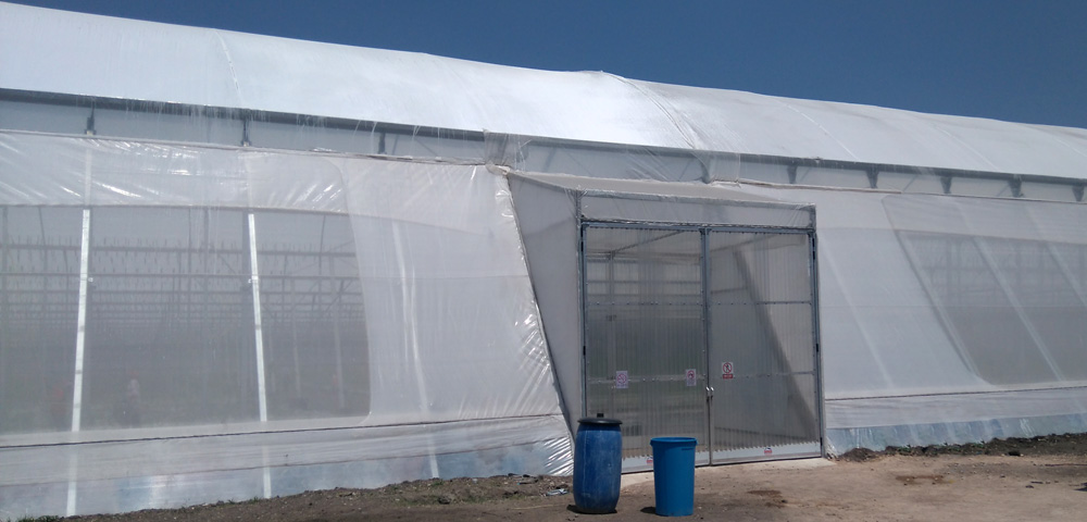 Front and side view of an Access ante-chamber to the greenhouse