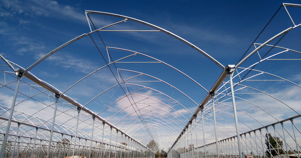 Tropical gothic roof multi-span